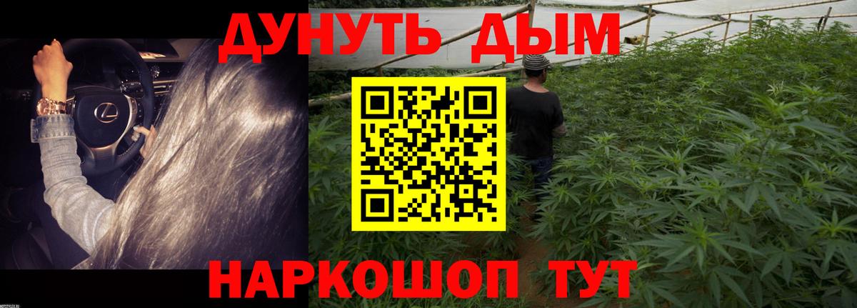 Шишки марихуана AK-47  Вход с VPN  Бошки Шишки Bruce Banner  Орск  Марихуана SATIVA & INDICA 